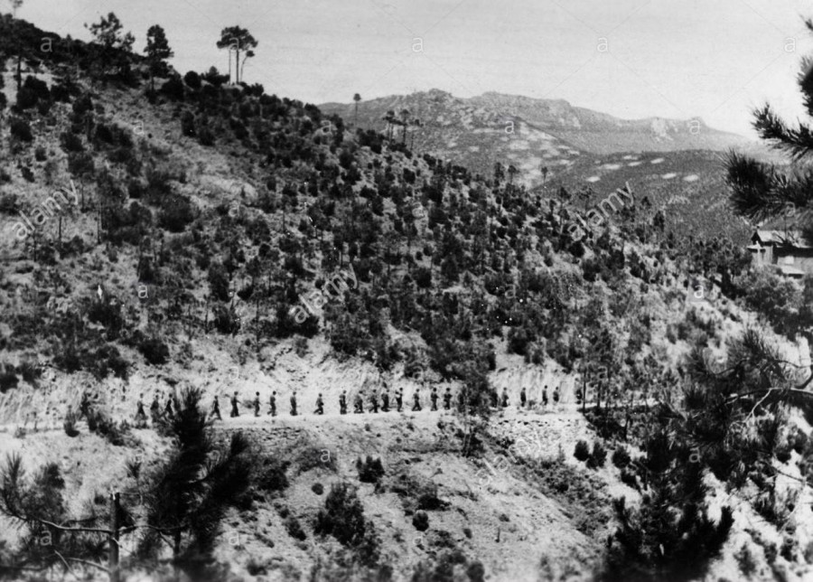 bergogne.jpg