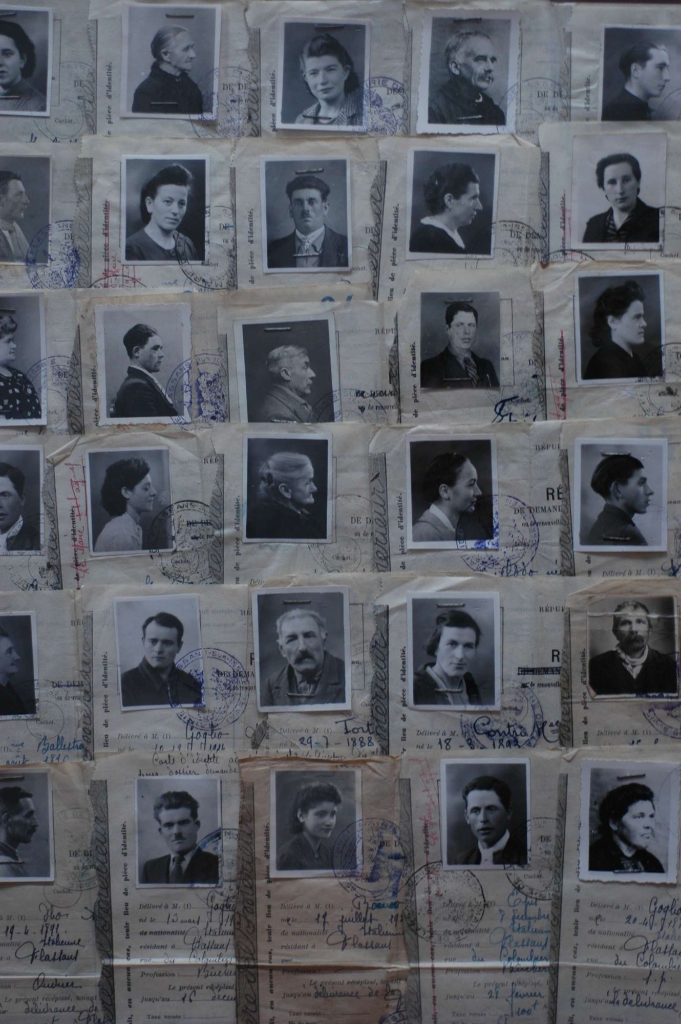 D'ici et d'ailleurs: immigration dans le Var ( XIXe - XXe siècles)