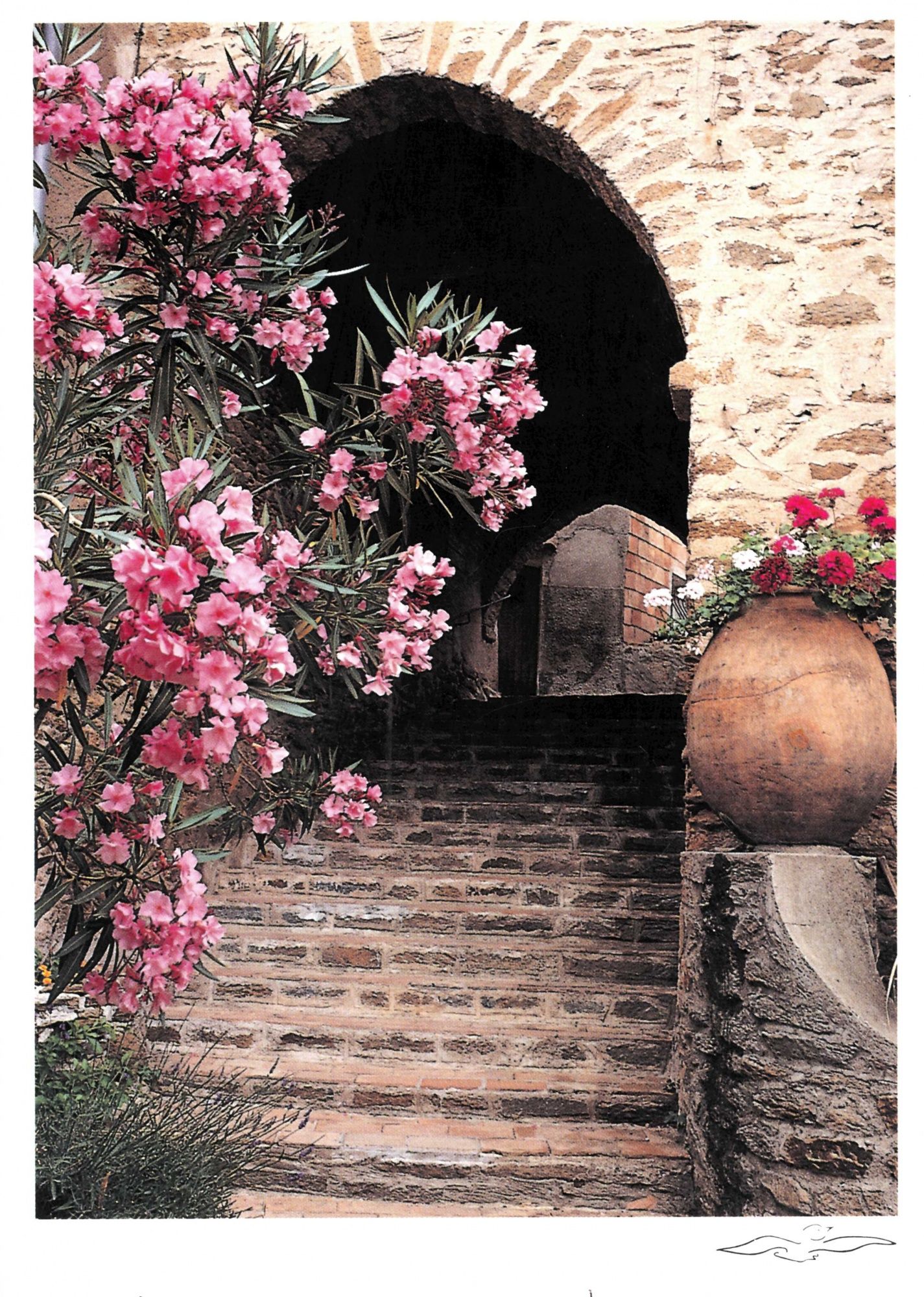 Photos ou documents identifiés