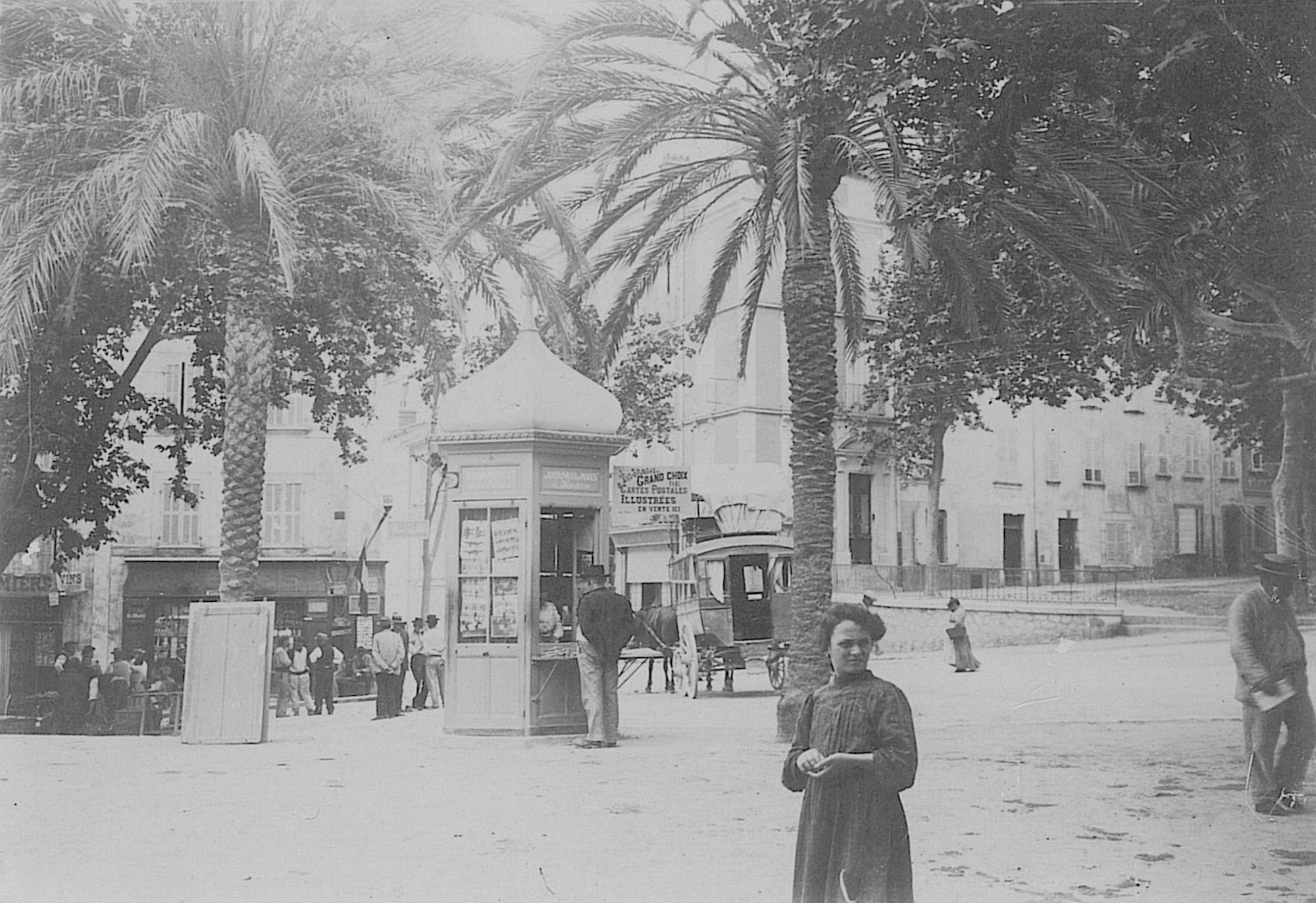 Image mystère: la place des Palmiers à Ollioules