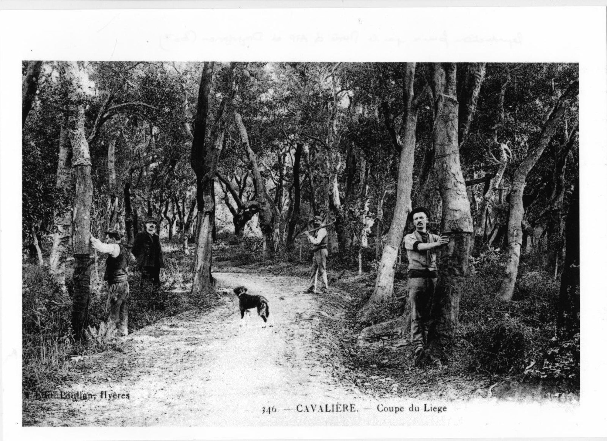 Corpus de six documents iconographiques sur la bouchonnerie dans le Var