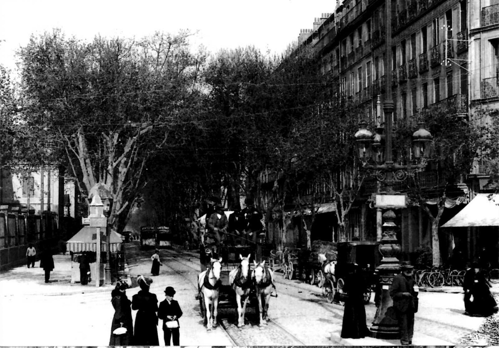 Carte postale représentant le boulevard de Strasbourg à Toulon